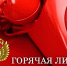 Горячая линия прокуратуры - Кольский район